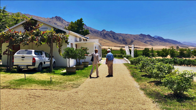 2019 | Kapstadt | Cape Winelands, Worcester Wine & Olive Route, «Stettyn Cellar»: Für Touristen fast unbekannt. Klein, aber fein!