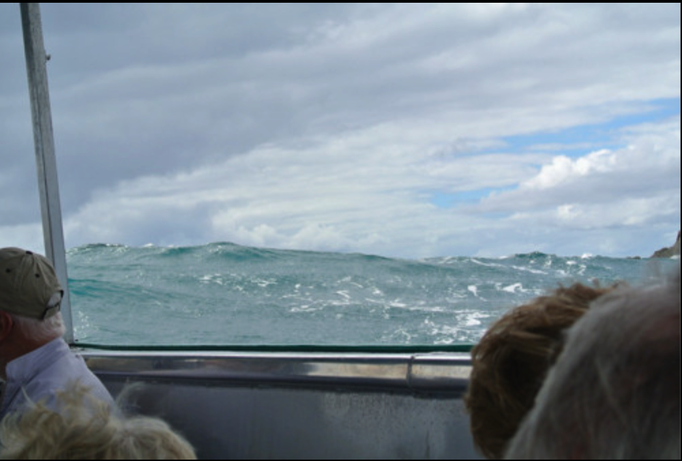 2014 | NZ Nordinsel | «Leigh», Auckland Region, Rodney District: «Fish Watching» im Glasbodenboot.