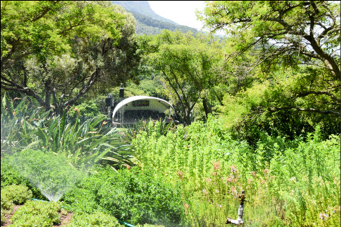 2016 | Kapstadt | Kirstenbosch: National Botanical Garden: «Music Bowl» für die jeden Sonntag stattfindenden Veranstaltungen.