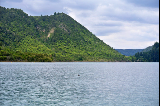 2014 | NZ Nordinsel | «Rotorua», Bay of Plenty: «Lake Okareka».