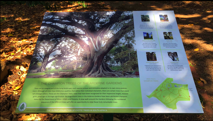 2020 | Kapstadt | Westkap, Claremont, «Arderne Botanical Gardens»: Neu dieses Jahr - überall aussagekräftige Informationstafeln.