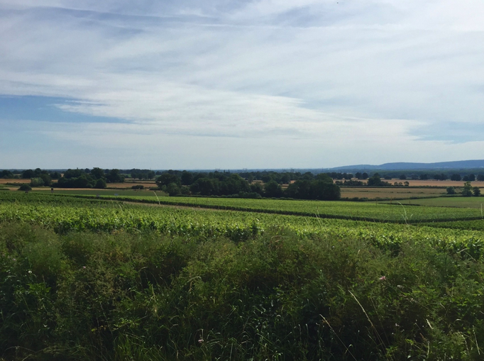 2015 | Fahrradtour «Burgund», Santilly: Mit dem eBike bei 41° C durch die Burgunder Rebberge.