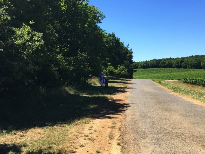 2015 | Fahrradtour «Burgund», Mercurey: Mit dem eBike bei 41° C durch die Burgunder Rebberge. Schatten - meistens Mangelware.