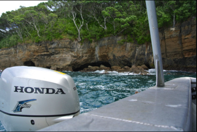 2014 | NZ Nordinsel | «Leigh», Auckland Region, Rodney District: «Fish Watching» im Glasbodenboot.