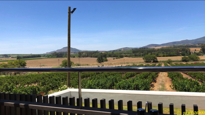 2018 | Kapstadt | Stellenbosch, «Beyerskloof Wine Estate»: «Terrassensicht» vom Weingut-Restaurant.