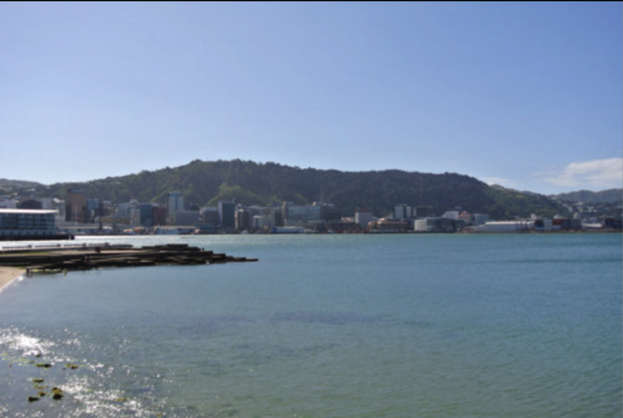 2014 | NZ Nordinsel | «Wellington», Wellington Region: Blick über die «Wellington Bay» auf NZs Hauptstadt.