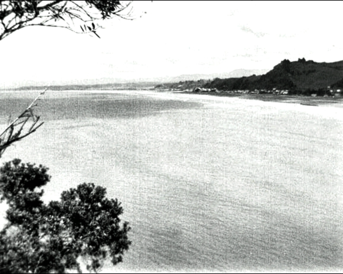 Ohope Hills| Whakatane | Bay of Plenty: Der ca. 11 km lange Traumstrand bei Ebbe.