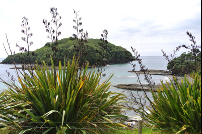 2014 | NZ Nordinsel | «Leigh», Auckland Region, Rodney District: Sicht auf «Goat Island».