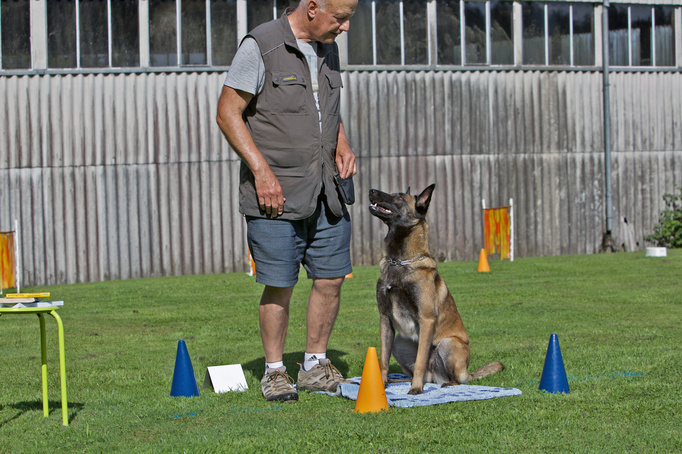 Hundeplausch/Plauschgruppe © Hundeschule gooddog