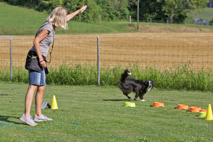 Hundeplausch/Plauschgruppe © Hundeschule gooddog