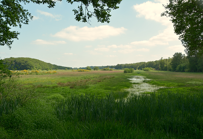 Roderveld 