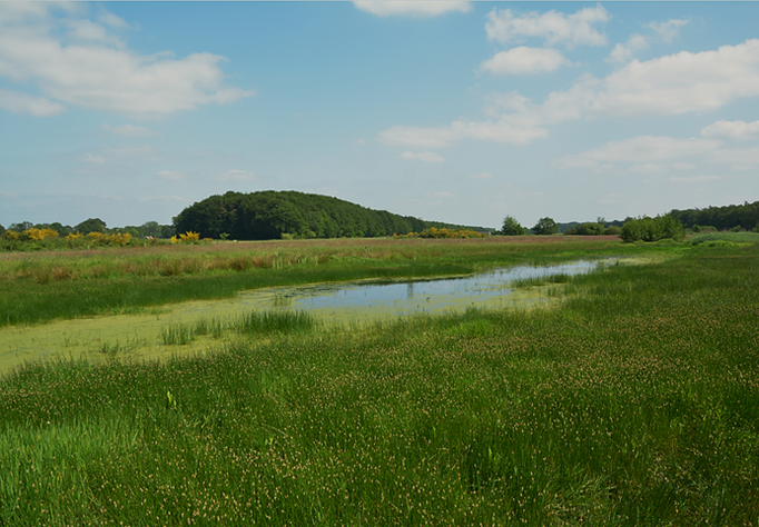 Roderveld 