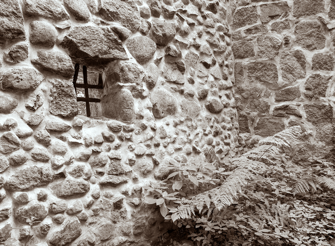 Marcel van Beek | Casa de bruja | 2023