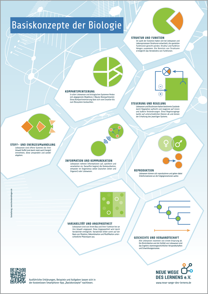 Bio-Basiskonzepte-Plakat für den Verein Neue Wege des Lernens e. V.