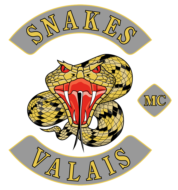 vektorisiertes logo