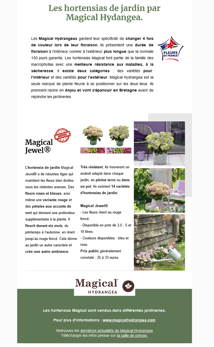 Dossier de presse Spécial "Hortensias" - Hortensia Magical Hydrangea