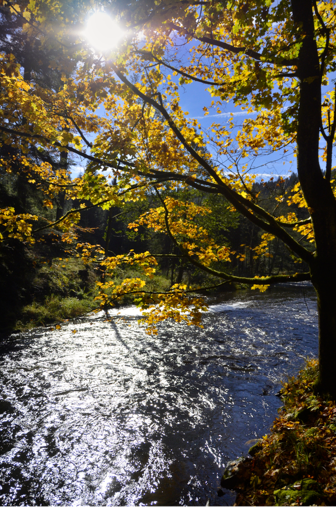 Haslach a.d. Mühl 2022