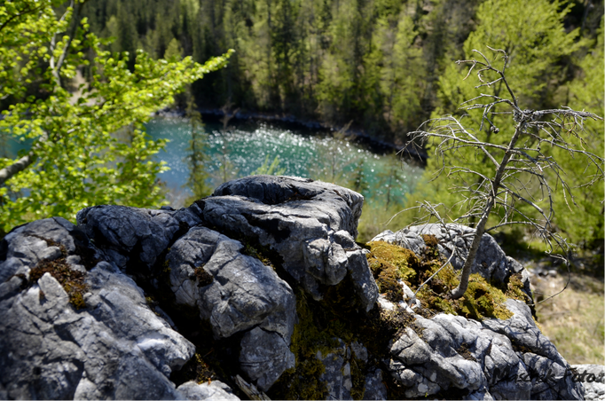 Ödseen_2021