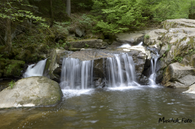 Pesenbachtal_2018