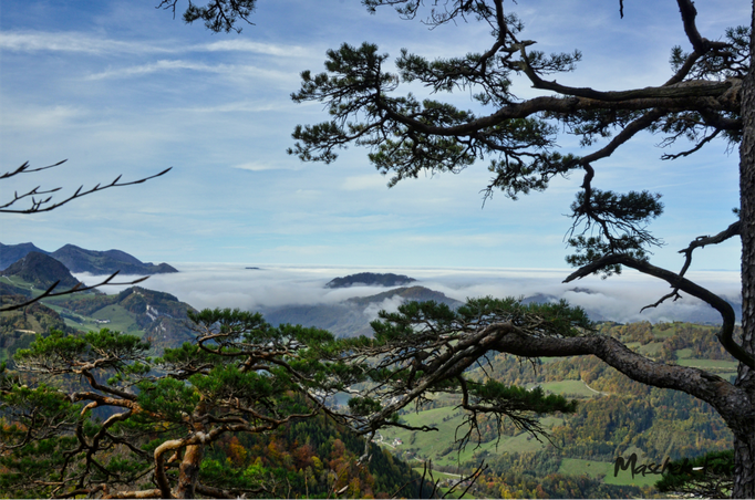 Steinener_Jäger_2019