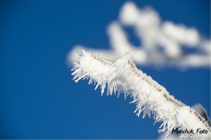 Burg Altpernstein 2022