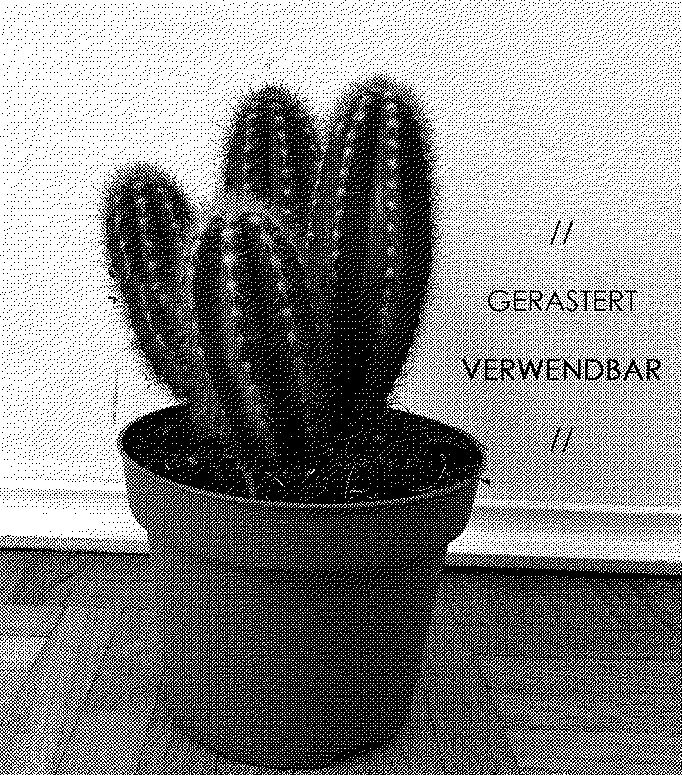 8enjfkpbcssjjm