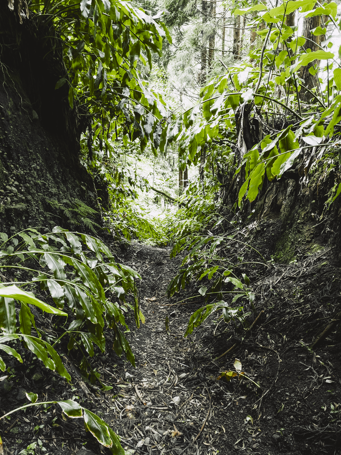 AZORES TRIP 2