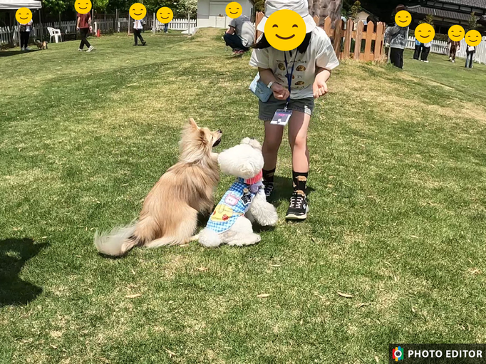 犬の保育園Baby・犬の社会化・犬のしつけ