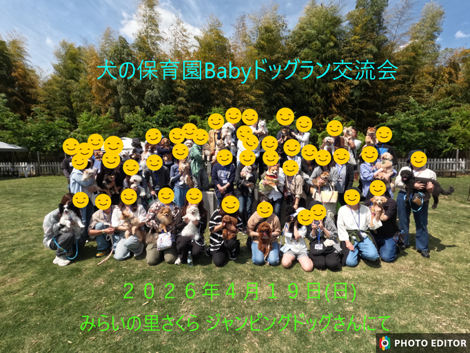 犬の保育園Baby・犬の社会化・犬のしつけ