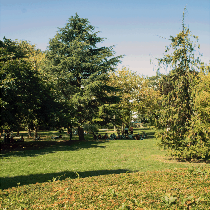 Forêt de Bondy