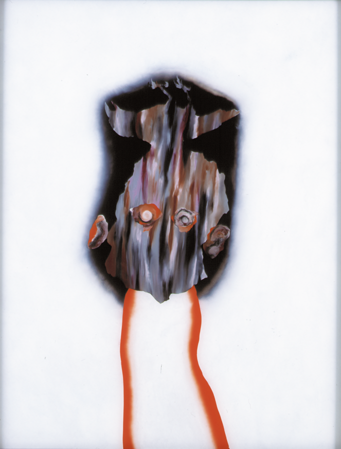 Tête (avec oiseau mort) - huile sous verre - 70 x 88 cm - 1994 - série des 50 têtes regardant à gauche et à droite