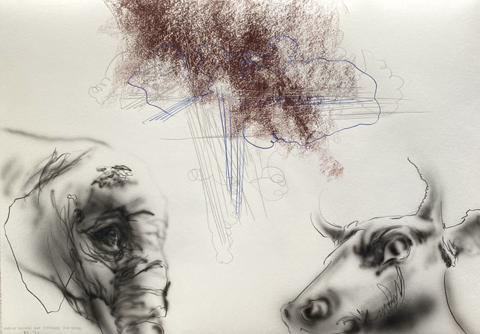 Vache et éléphant sous l'influence d'un nuage, 26,5 x 38,5 cm, encre, sanguine et stylo sur papier, 2021.