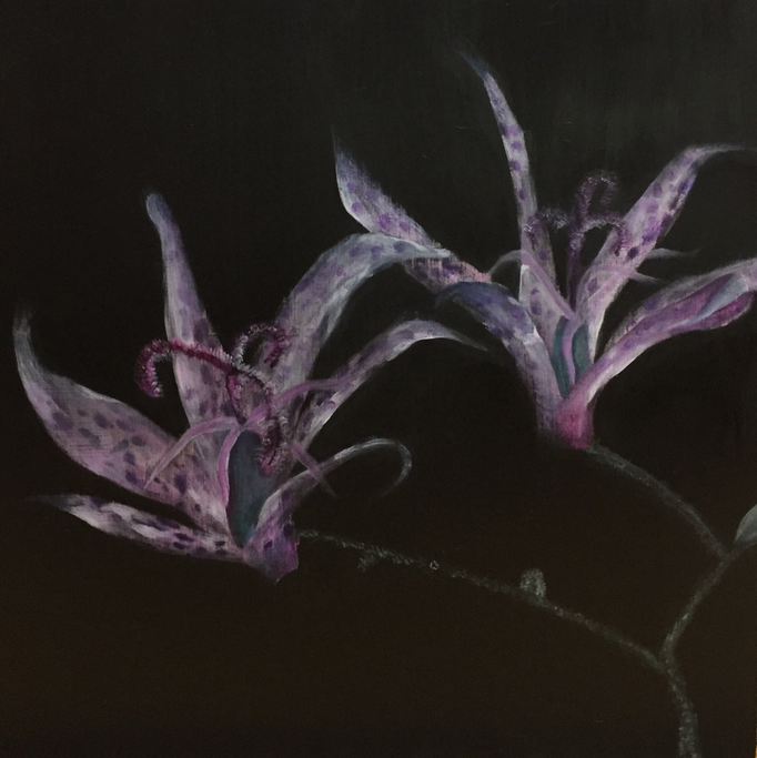 「夜の迷い」　油彩、パネルにミュー・グラウンド　53×53cm　2018