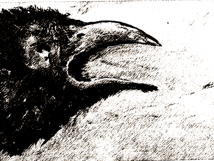 pigmentdruck hahnemühle rag