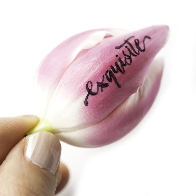 Letter Lovers photo.aloha: Handlettering exquisite auf Tulpe