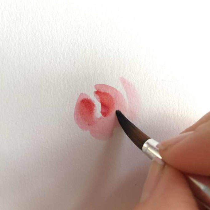 Letter Lovers unakritzolina: Anleitung Rosen malen mit Ecoline Brushpens - 3