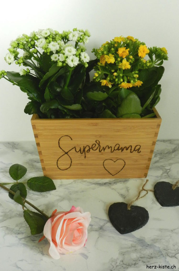 einfache DIY Geschenk zum Muttertag: Mit einem Brandkolben Supermama auf einen Blumentopf lettern