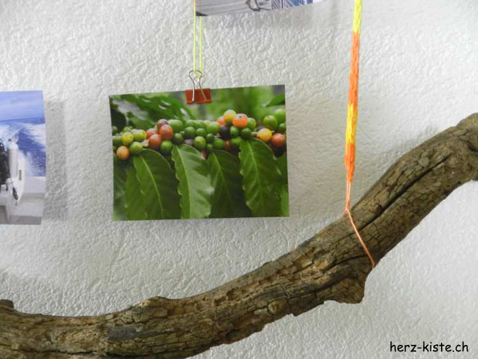 Bilderrahmen mit Fotos selbermachen - aus Ästen