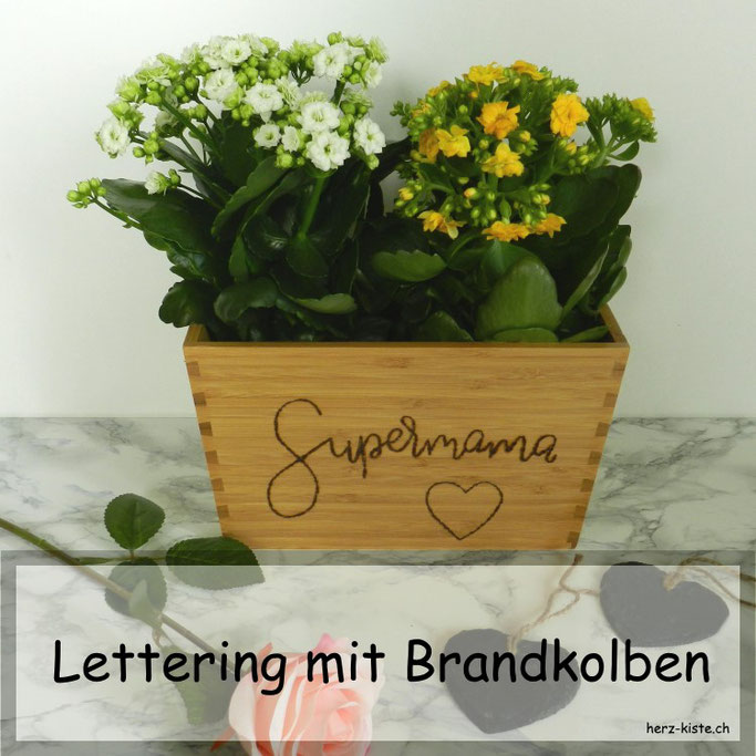 DIY Geschenkidee zum Muttertag: Blumentopf belettern mit einem Brandkolben - Supermama