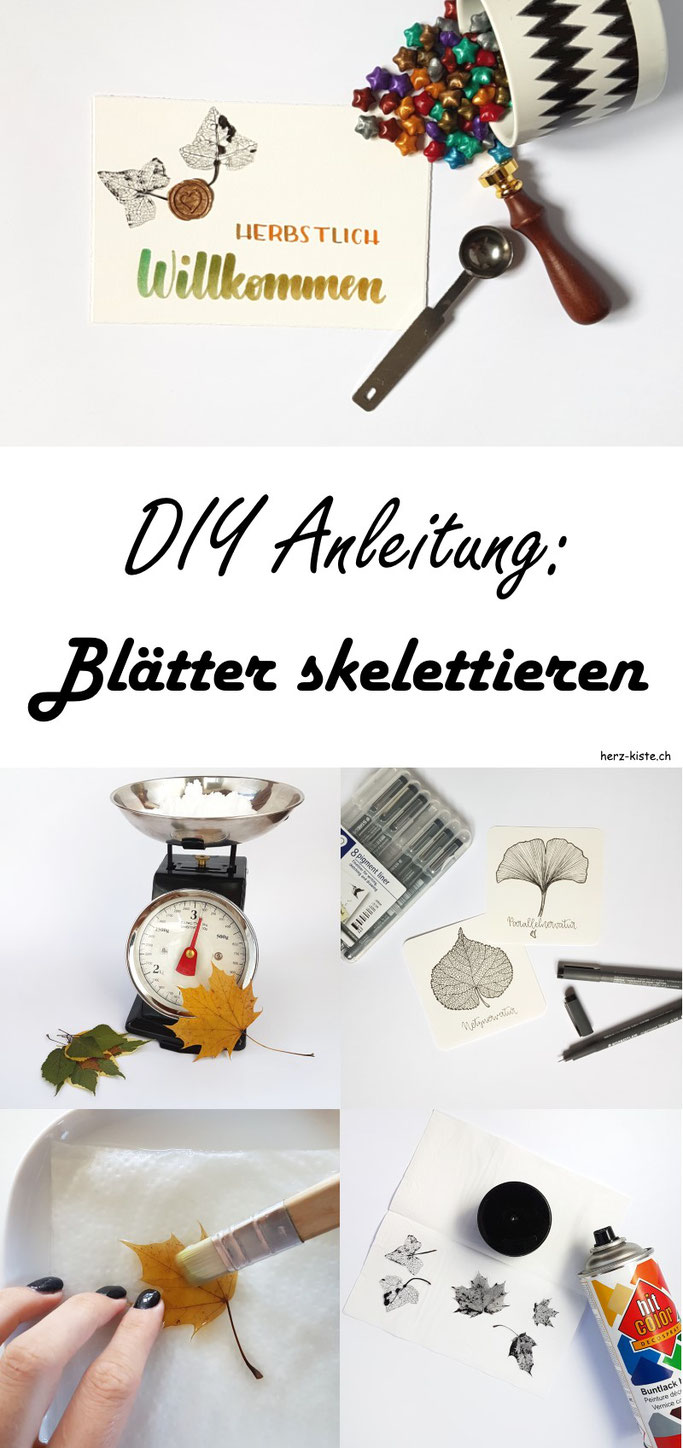 DIY Anleitung: Wie du ganz einfach Blätter skelettieren kannst. Lies in diesem Handlettering Interview Tipps und Tricks und lerne, wie du mit skelettierten Blättern eine tolle Karte selber machen kannst.