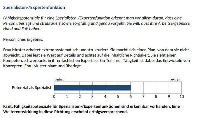 Beispiel für ein Auswertungsmodul des CAPTain::smart® talents; Als Fähigkeitspotenziale bezeichnen wir Fähigkeiten, über die eine Person bereits verfügt, und die sie für eine neue Aufgabenstellung direkt einsetzen kann