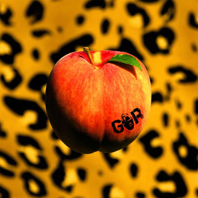 GORILLA RIOT, new album, PEACH, rockers and other animals, news, Arjun Bhishma,Blues Stoner Rock