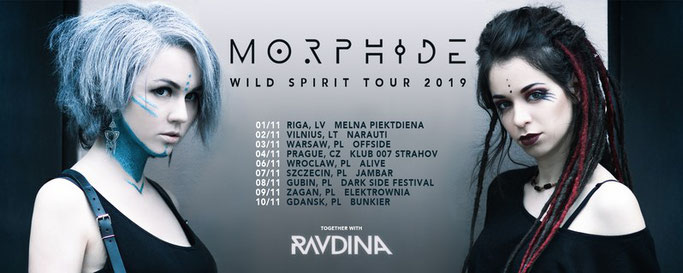 Morphide, Enter The Storm, alternative metal, progressive metal, rockers and other animals, news