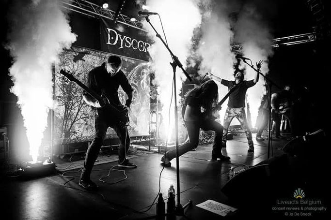 Videonews HLP, New Single, new Video, Dyscordia, Rockers and other animals, news