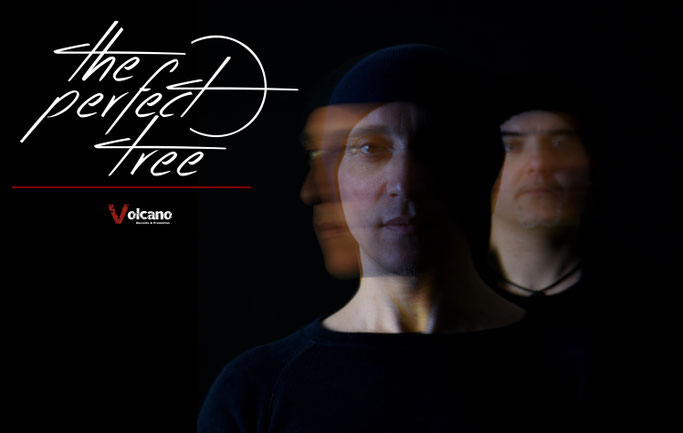 Volcano Records & Promotion, The Perfect Tree, Crown Of Shyness, News Rockers And Other Animals, Rock News, NWOBHM, Rock Magazine, Rock Webzine, rock news, sleaze rock, glam rock, hair metal