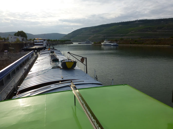 Liegeplatz im Schutzhafen Bingen