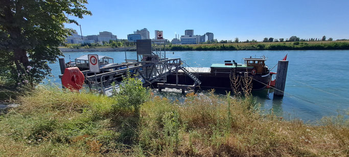 Kultursteiger an der Uferstrasse in Basel-Kleinhüningen © 29.07.2024 pm