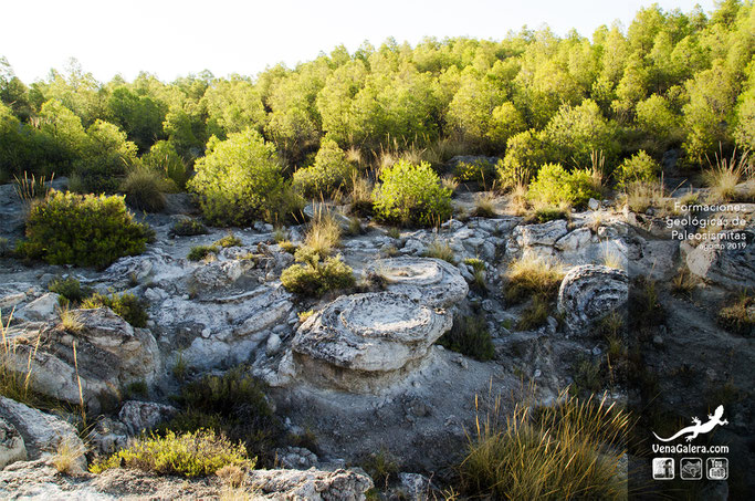 formación geologica paleosismitas en galera