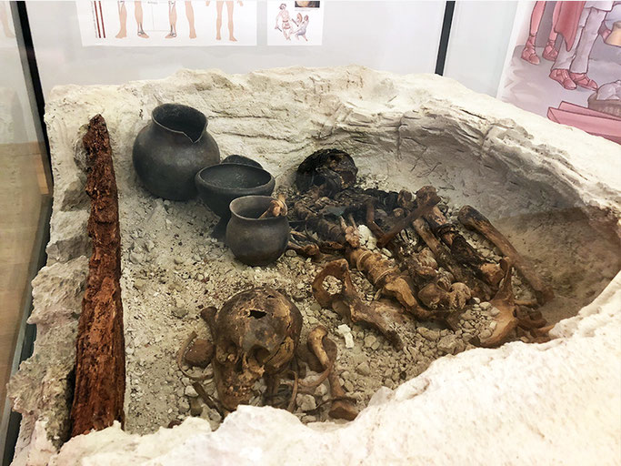 momia museo galera