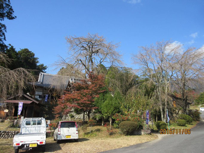 長野・南木曽の浄土真宗　長延寺さんにて、素晴らしいお天気でした。